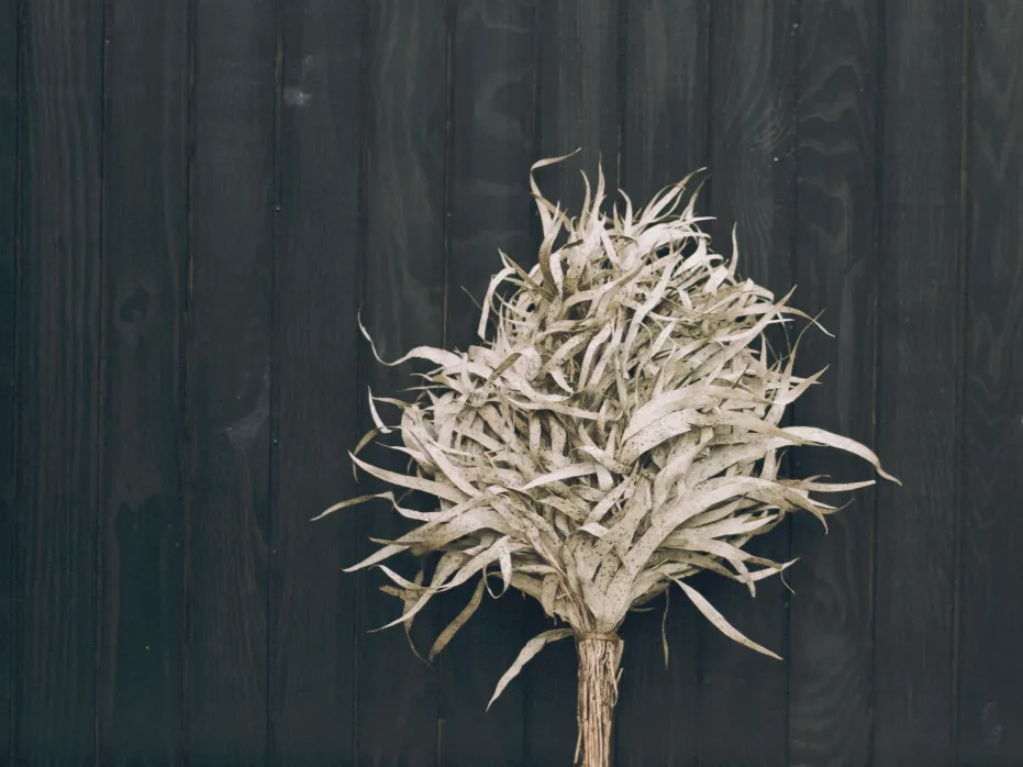 Wildhut build traditional luxury saunas